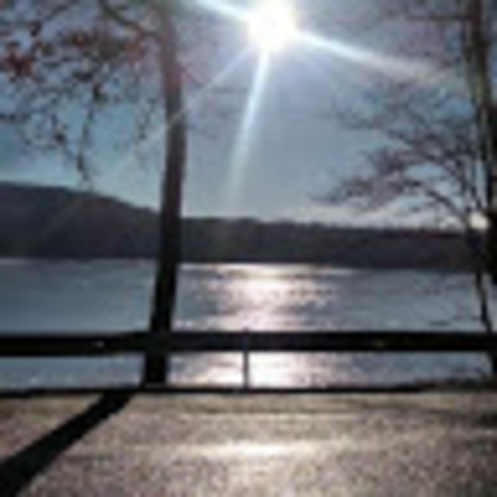 Meet your Posher, Terry